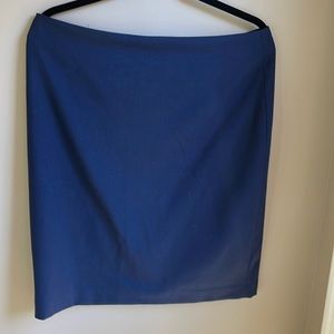 Jones New York Platinum navy skirt